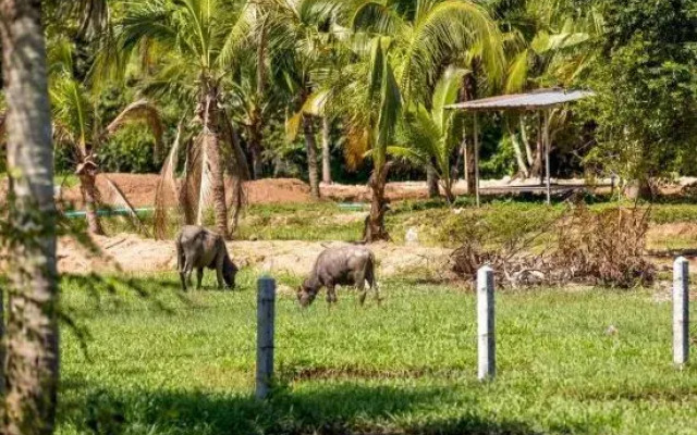 Private Pool Paradise: Sereniwood 3br