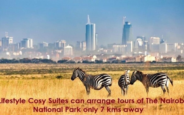 JKIA Airport side apartment