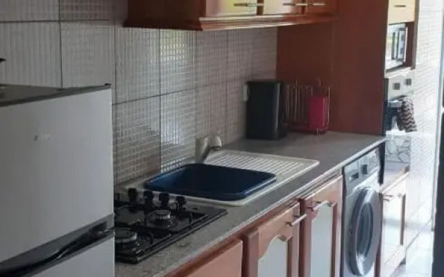 La mélodie des oiseaux