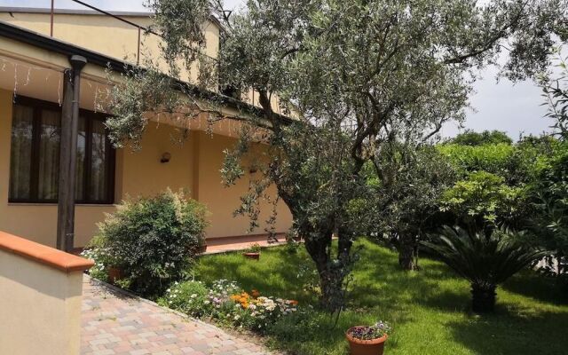 B&B D'Avino