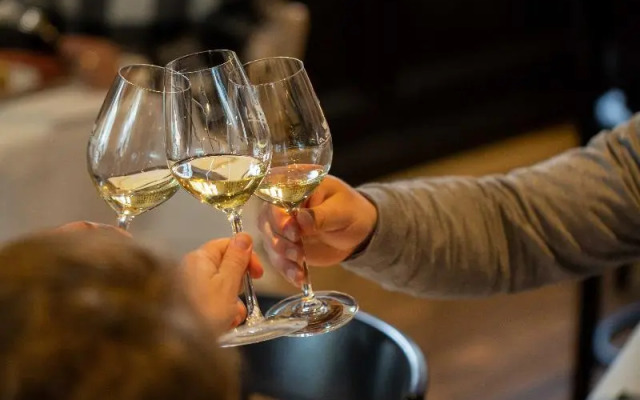 Hotel Villa K - Basel Airport