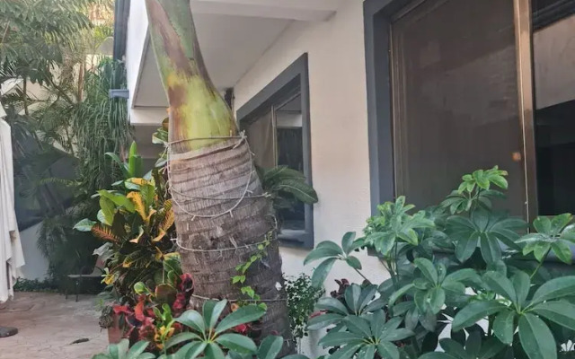 TJ Apartments, Calle 6, PDC
