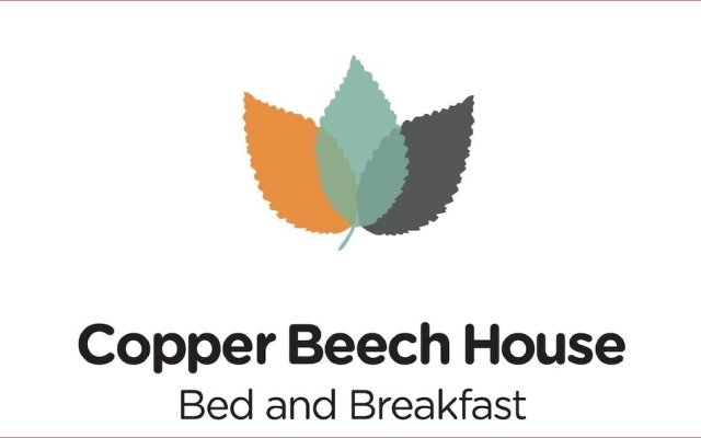 Copper Beech House