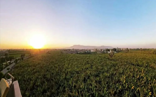 Shared Rooftop 1-bed Apartment Luxor View Nile