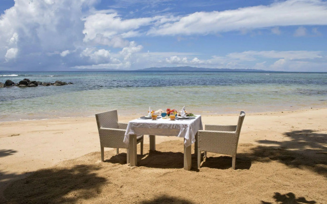 Taveuni Palms
