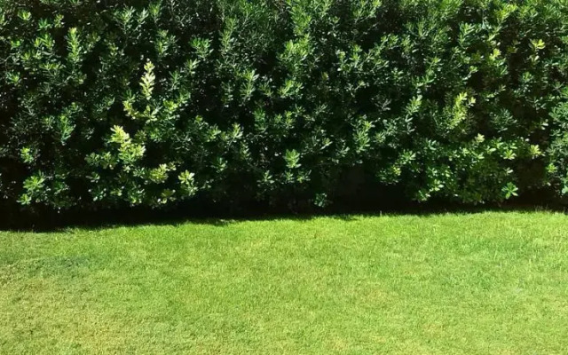 Quartello Garden