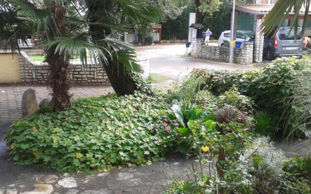 Apartments Barbara 218