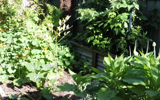 Albury Bed and Breakfast