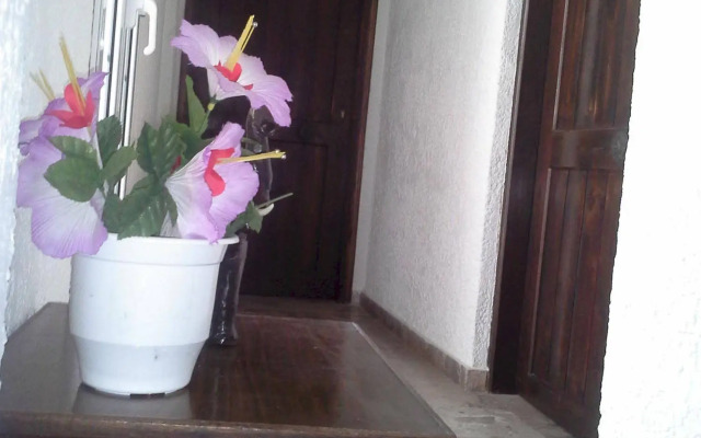 Despina Hotel