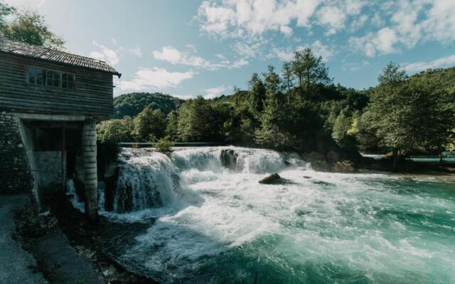 Kostelski Buk