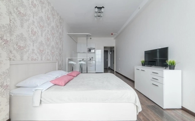 Apartments on Zvezdnaya