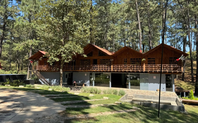 PINE TREE Hotel Boutique & Cabañas