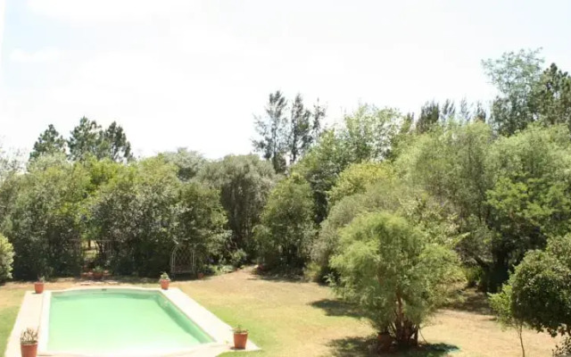 The Trees Venue