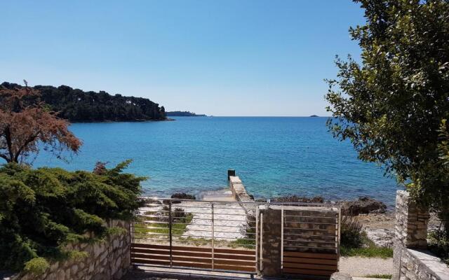 Buric House - Apartment Vintage