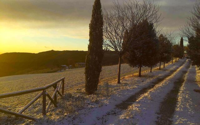 Assisi Country