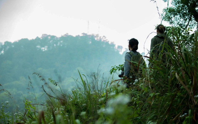Wayanad Wild Rainforest lodge by CGH Earth
