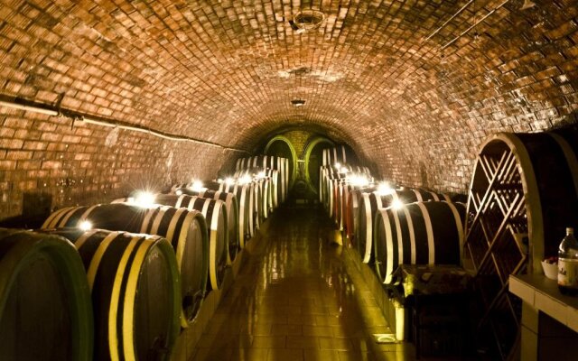 Penzion - Vinařství Hanuš