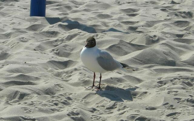 Ferienwohnungen Huntemann Fewo 5