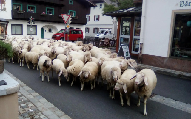 Landgasthof Kirchmayer