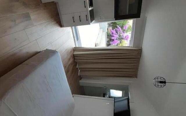 little olive tree house