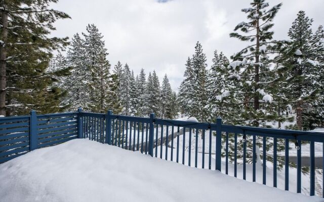 Jeffrey - Alpine Bay