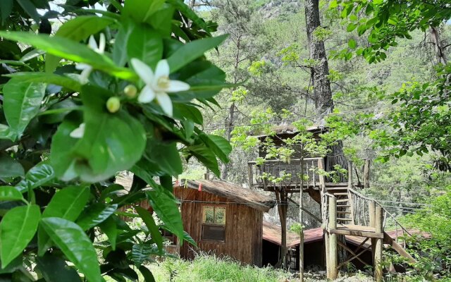 Altaris Bungalows Olympos