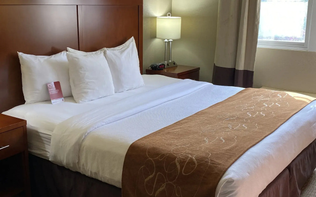 Comfort Suites Near Casinos Norwich-Uncasville CT