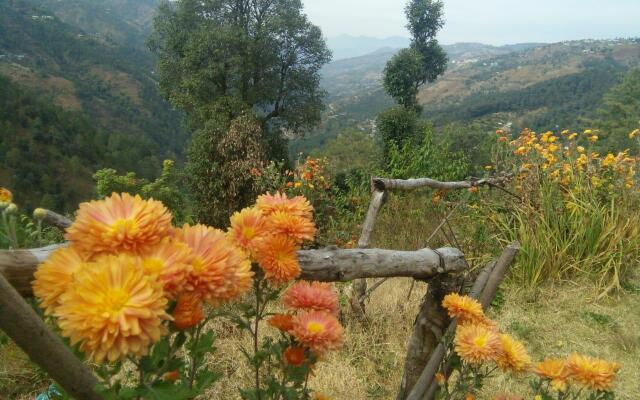 PineHills Nature Camp