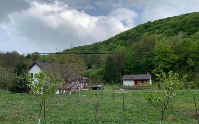 Holiday home Usadba Novoselitsa