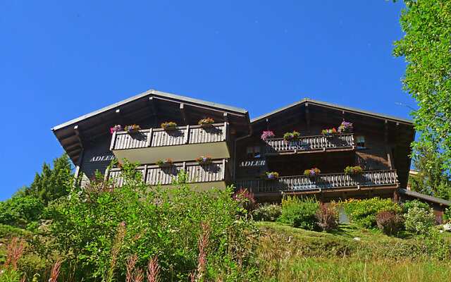 Wohnung 4 Bettmeralp