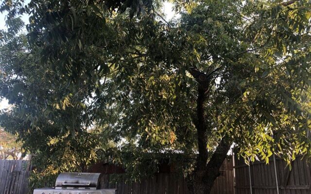 Edgewood Bed & Breakfast