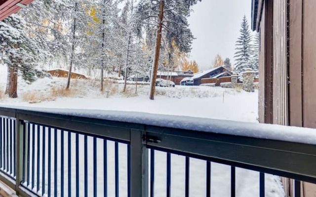 Wild Irishman #1034 by Book by Owner