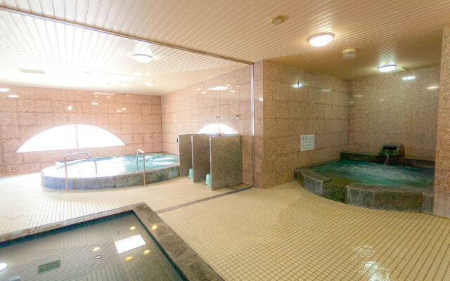 Tennen Onsen Matsuyama New Grand Hotel