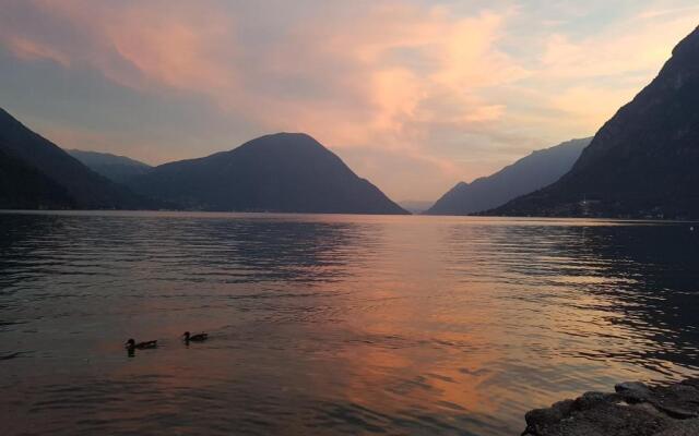 International Camping