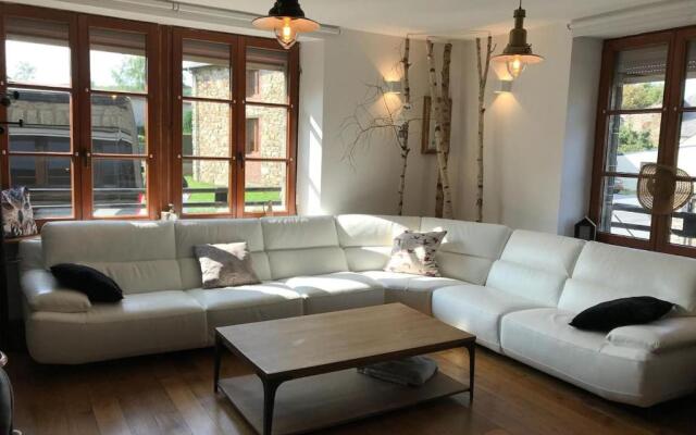 La chouette au bouleau