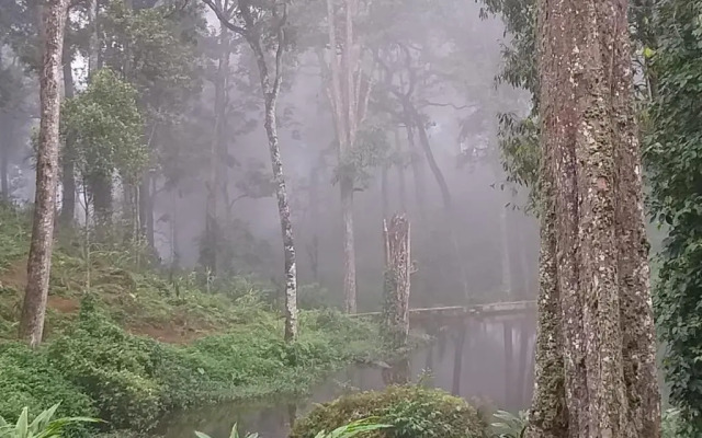 Woodpecker Resort