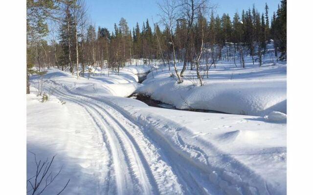 Sallanhelmi a2
