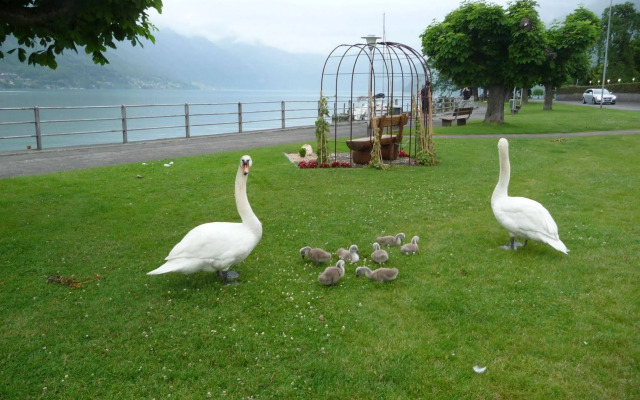 Seiler au Lac
