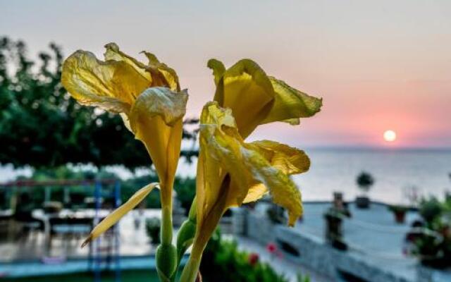 Hotel Agios Thomas