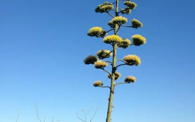 Residenza Via Roma 3