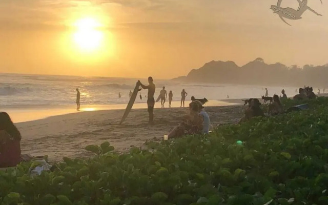 Aloha Surf Nosara