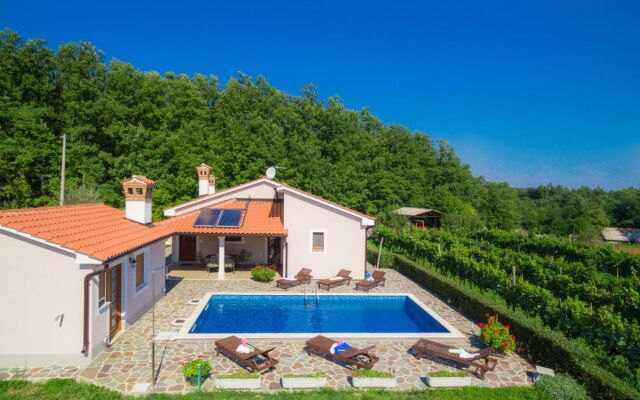 Villa Mihael (ROJ540)