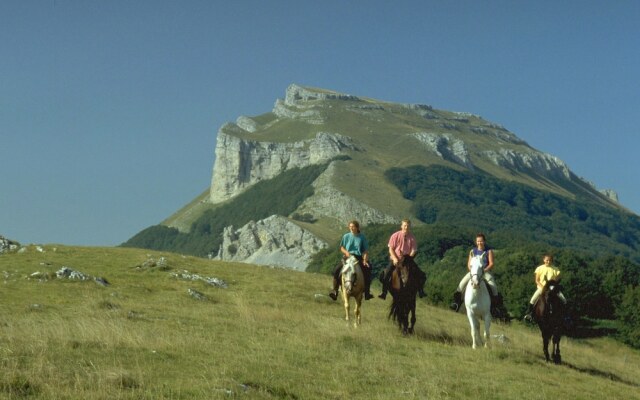 Lovely Renovated Farm in the heart of Drôme