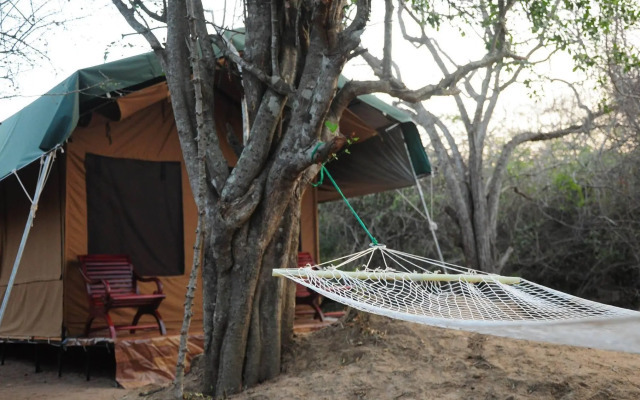Yala Bear Safari Camp Tents