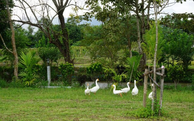 Ban Suan Tawan Chiang Dao