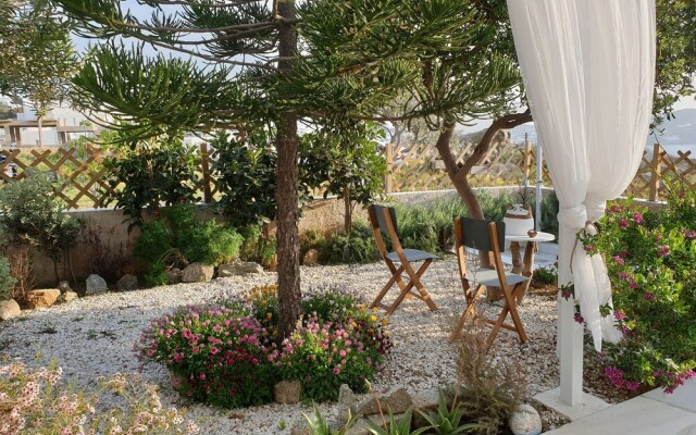 Sand Lily Mykonos