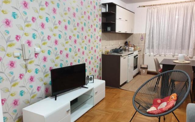 apartman Gledovic 1