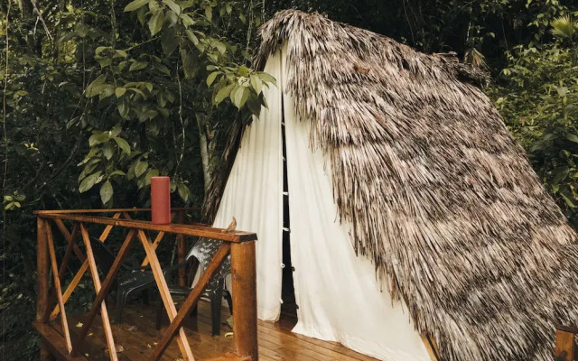 Tigrillo Rio Claroby LosColoresEcoparque