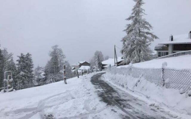Chalet Sonnenheim