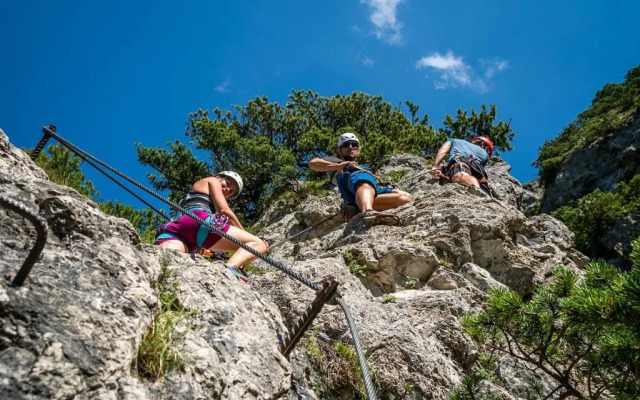 BIO- Bauernhof Obermaurach